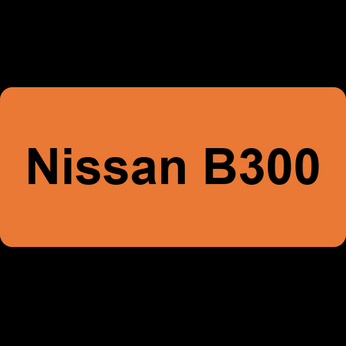 Nissan B300